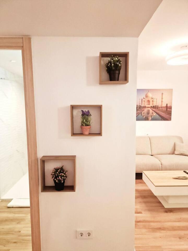 Apartamento Ave Vigo Zewnętrze zdjęcie
